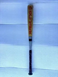 Item thumbnail for item 1870ba54-deba-4029-b4d1-6f73aefec4bb