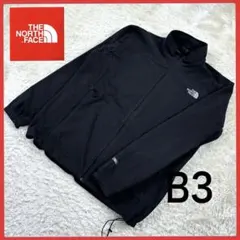 送料無料！ ノースフェイス レアカラー ゆるめ 00s フリース ブルゾン 人気