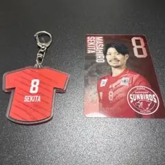 サントリーサンバーズ スポーツ選手