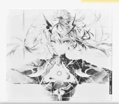 WALLHACK SP-004 Frenzy Sora 世界2000枚限定モデル - メルカリ