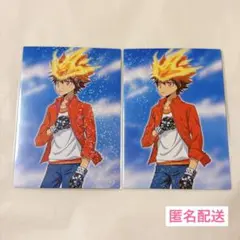 REBORN! 沢田綱吉 トレカ ブリアンテ 2点