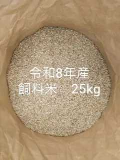 生穀物粉 1000g 黒米 赤米 いなきび もちあわ たかきび - メルカリ