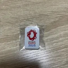 2025年最新】EXPO ピンバッジの人気アイテム - メルカリ