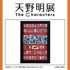 家庭教師ヒットマンREBORN! 天野明展 全巻ピンズセット 綱吉 雲雀 獄寺他 家庭教師ヒットマンREBORN! 天野明展 全巻ピンズセット 綱吉 雲雀 獄寺