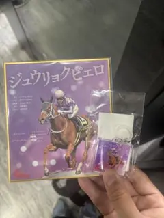 ジュウリョクピエロ×今村聖奈 色紙 アンブレラマーカー - メルカリ