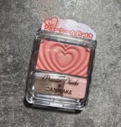 CANMAKE : パウダーチーク P06