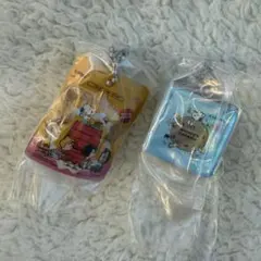 PEANUTS ビスケットミニチュアチャーム スタンドパック エンボス缶