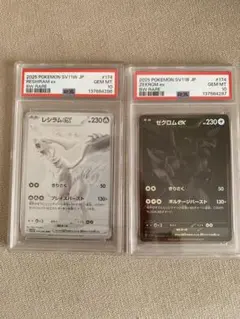 レシラムex　ゼクロムex　BWR PSA10 連番