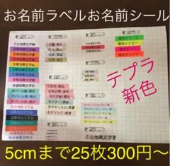 お名前ラベル お名前シール 整理整頓 おなまえラベル おなまえシール テプラ防水