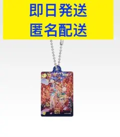 一番くじ　ワンピース　カードゲーム　 H賞 アクリル雑貨アソート　おナミ