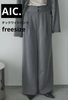 未使用 AIC. 2WAYタックワイドパンツ　グレー freesize