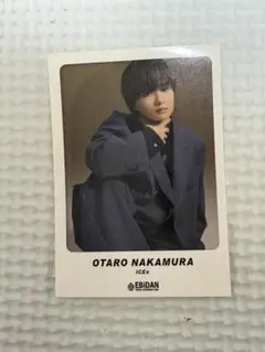 ICEx中村旺太郎 EBiDAN Visual Dictionary ステッカー