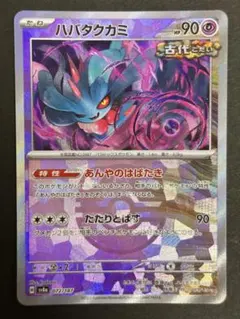 アンチョビ様 リクエスト 2点 まとめ商品