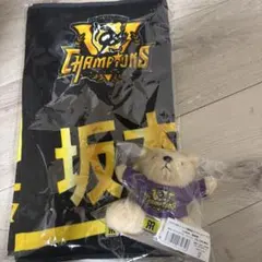 阪神タイガース　坂本誠志郎選手セット