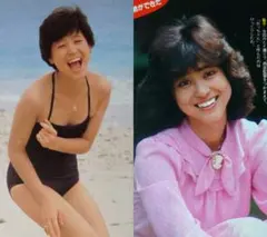 松田聖子 1980年〜1985年 レア 大量 切り抜き ファイル 2冊120P - メルカリ