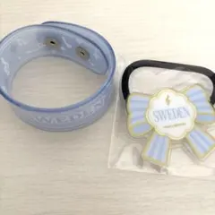 ヘタミュ ヘタコン アイスランド ランダムPVCリストバンド ゴム