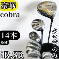 2026年最新】COBRA ゴルフクラブ メンズ クラブセットの人気アイテム