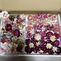 Item thumbnail for item 50e32981-11db-4e63-b374-a378b0ebe358