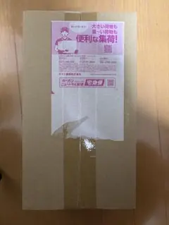 スペシャルBOX ポケモンセンター トウホク 新品未開封品