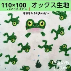 Item thumbnail for item 69536244-7fc8-4973-ac6c-7d506ee7ca9b