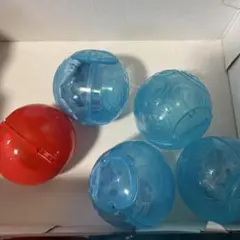 ワンピの実　他計5個セット