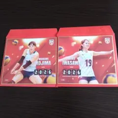 バレーボール女子日本代表2026 トレーディングmini色紙 北窓絢音