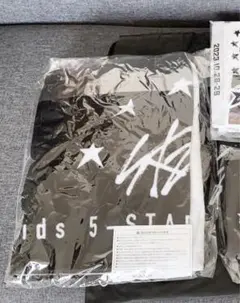 Stray Kids スキズ 5STAR ドムツ アプグレ フードタオル 未開封