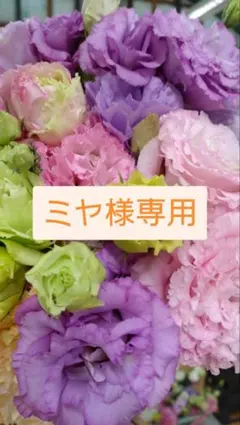 ミヤ様専用　トルコギキョウ　リシアンサス　切り花