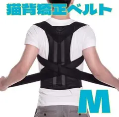 Item thumbnail for item 93462bdf-f431-4a2f-9505-42575d8454b8