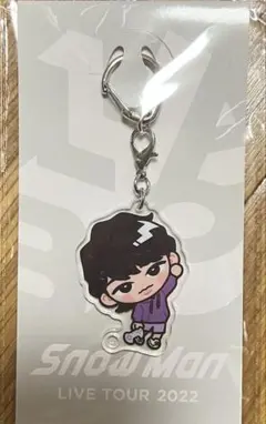 SnowMan 目黒蓮深澤辰哉渡辺翔太阿部亮平佐久間大介ラウール グッズセット