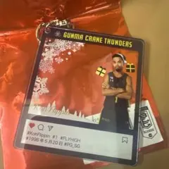 【新品未使用】群馬クレインサンダーズ コー・フリッピン クリスマス アクキー