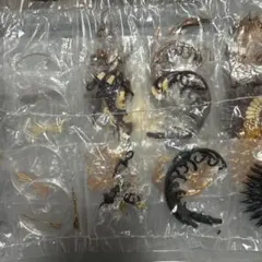 ムラマツアユミ　ガチャ　浪漫幻鳥　5点セット