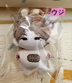 2025年最新】seventeen ウジ ぬいぐるみの人気アイテム - メルカリ