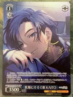 貫く信条 御行 SP 2枚セット　ヴァイスシュバルツ 2025年最新】ヴァイスシュヴァルツの人気アイテム - メルカリ