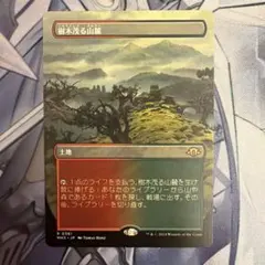 MTG 耐え抜くもの、母聖樹 拡張アート - メルカリ