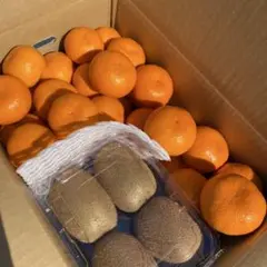 2026年最新】和田果樹園の人気アイテム - メルカリ