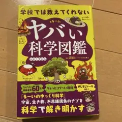 ふじっこ様 リクエスト 2点 まとめ商品