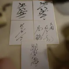 力士サイン 2025年最新】力士サインの人気アイテム - メルカリ