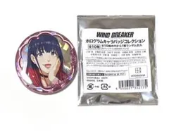 ウィンドブレイカー ホログラムキャラバッジコレクション 椿野 佑