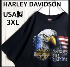 希少 グラフィック HARLEY DAVIDSON Tシャツ 3XL USA製