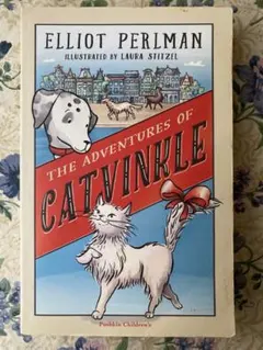 THE ADVENTURES OF CATVINKNE