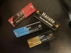 Item thumbnail for item 1fca38d1-45b6-4c28-a90a-43c16587e604