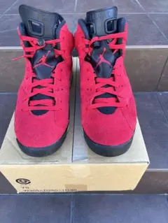 Nike Air Jordan 6 Retro