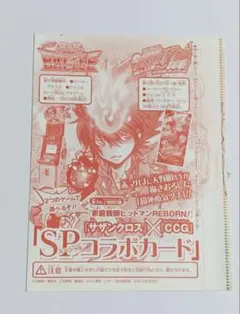 未開封 家庭教師ヒットマンREBORN サザンクロス 沢田綱吉 赤マルジャンプ