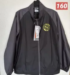 Item thumbnail for item 0f11222f-8215-4e1a-945c-085dad271e99