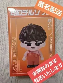 2026年最新】向井康二 ぬいぐるみの人気アイテム - メルカリ