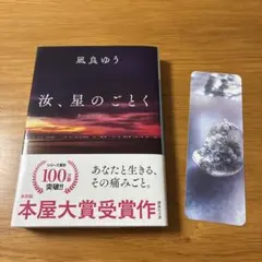 汝、星のごとく　文庫本