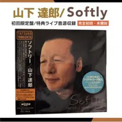 山下達郎 Softly 初回プレス音圧高180gアナログ2LP - メルカリ