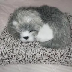 本日値下げ品グレーの子犬のぬいぐるみ