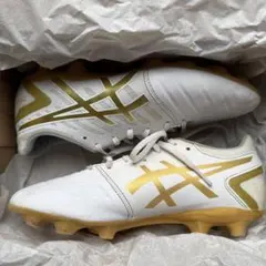 Item thumbnail for item 2c71c451-29ef-4c85-8733-985cda827f4f